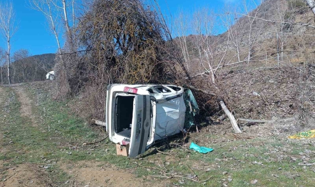 Bolu'da hafif ticari araç şarampole uçtu: 2 yaralı