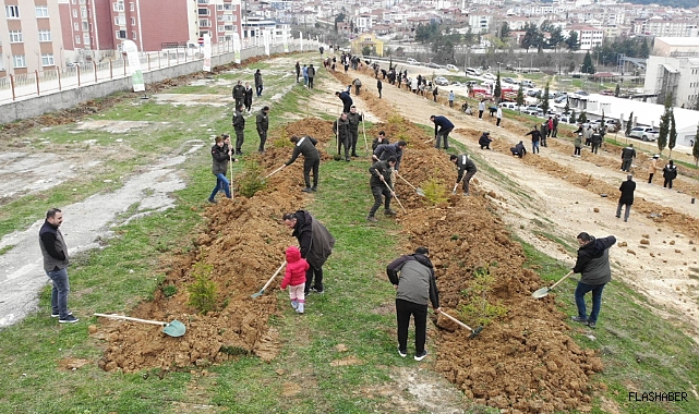 Boyabat'ta 510 fidan toprakla buluşturuldu