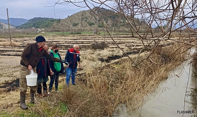 Boyabat'ta sivrisinekle mücadele çalışmaları sürüyor