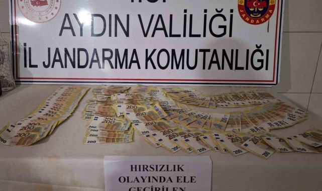 Bozdoğan'da 6 milyon TL'lik hırsızlık