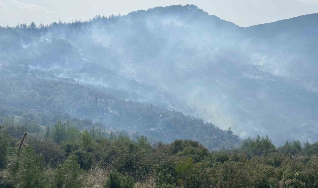Bozdoğan'daki orman yangını kontrol altına alındı