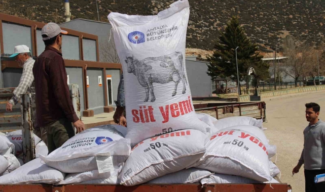 Büyükşehir'in üreticilere yem desteği sürüyor