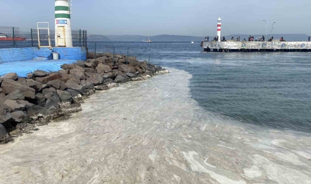 Çanakkale Boğazı'nda müsilaj etkisini gösteriyor