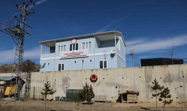 Çankırı'da kontrolsüz hayvan hareketleri denetlenecek