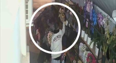 Çiçekçiden 5 bin liralık çiçek çalan hırsız güvenlik kamerasına yakalandı