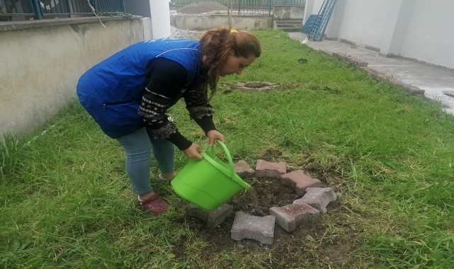 Cide'de fidan dikimi gerçekleştirildi