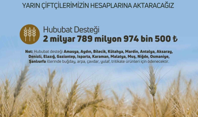 Çiftçilere hububat destek ödemesi yapılacak