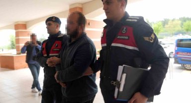 Çiftlik evlerini kenevir serasına çeviren sanıkların yargılanmasına devam edildi