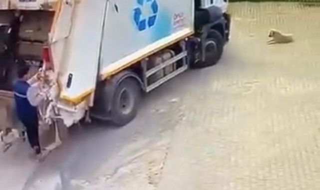Çiğli Belediyesi çöp kamyonu köpeği ezdi, durmadan yoluna devam etti