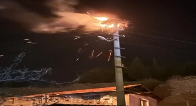 Çorum'da yangın çıkan leylek yuvası kullanılamaz hale geldi