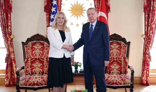 Cumhurbaşkanı Erdoğan, Bosna Hersek Devlet Başkanlığı Konseyi Başkanı Sviyanoviç ile görüştü