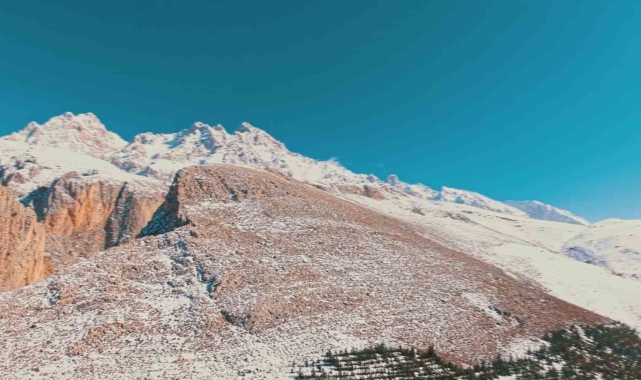 Dağ keçilerinin kış yolculuğu havadan görüntülendi