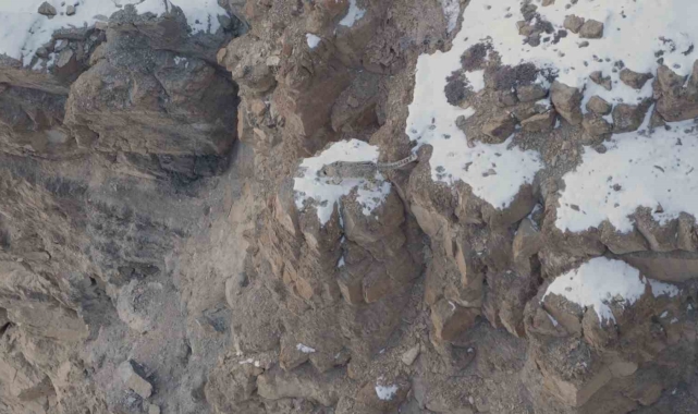 Dağların Hayaleti'ni görüntülemek için Himalaya Dağları'nda 16 günlük zorlu serüven
