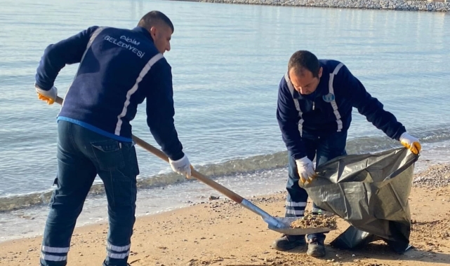 Didim'de Lodos'un izleri siliniyor