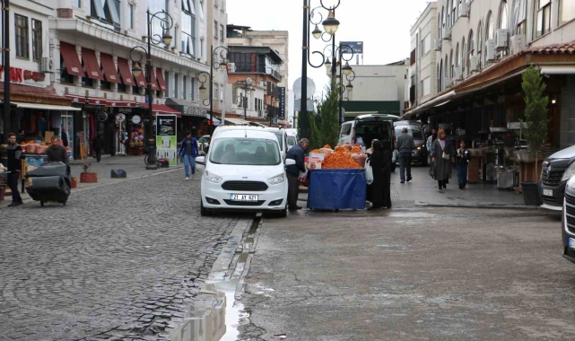 Diyarbakır'da tarihi mekanlardaki başıboş köpekler tedirgin ediyor