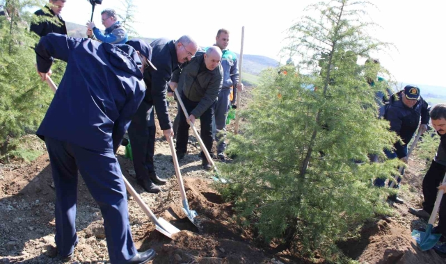 Dünya Ormancılık Günü'nde Çanakkale'de 4 bin fidan toprakla buluştu
