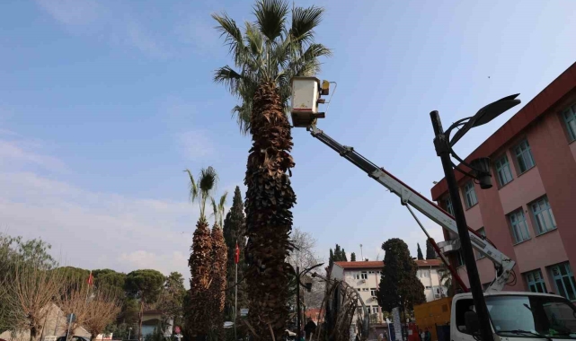 Efeler'in yeşil ekipleri görevde