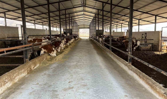 Elazığ'da ari işletme sayısı artıyor