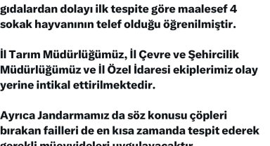 Elazığ'da sokak hayvanlarına zarar verilmesi üzerine Vali Hatipoğlu'ndan açıklama