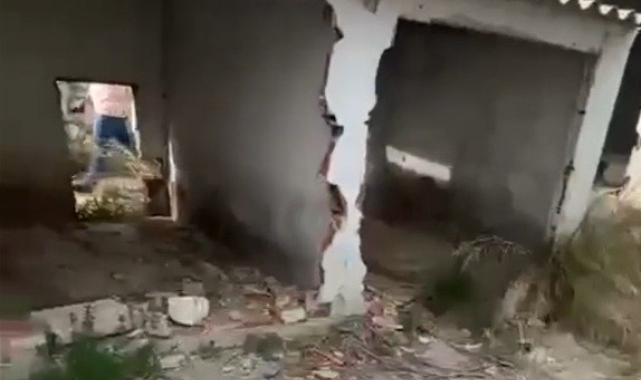 Erdek'te barınak çilesi: Belediyenin ilgisizliği pes dedirtti