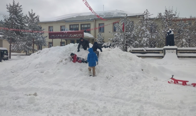 Erzurum'da kar yağışı etkili oluyor