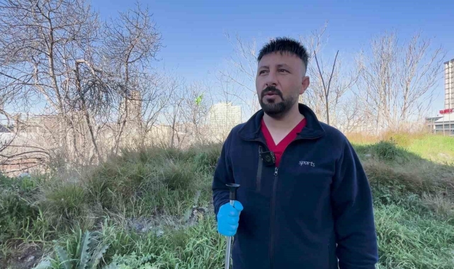 Esenyurt'ta iki kadın, sahipsiz köpekleri toplayan belediye görevlilerine tepki gösterdi