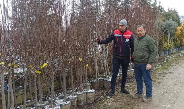Fidan satış noktalarında denetim