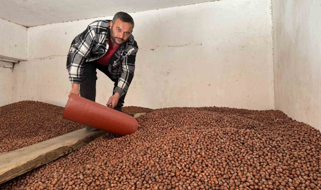 Fındık fiyatları rekor seviyeye ulaştı