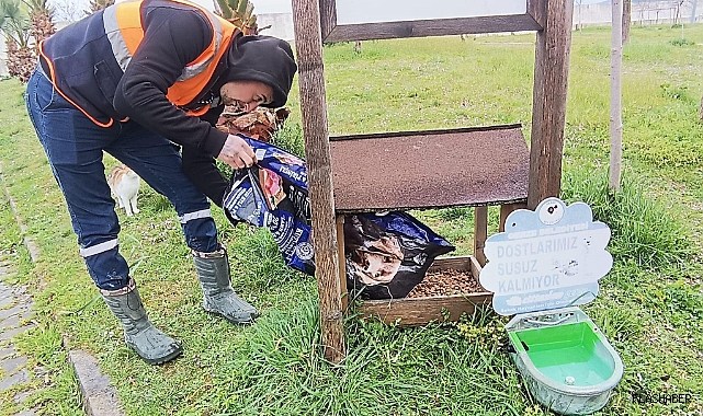 Gerze Belediyesi, can dostları ihmal etmiyor