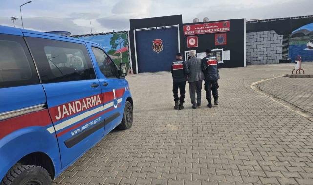 Hapis cezasıyla aranan şahsı jandarma yakaladı