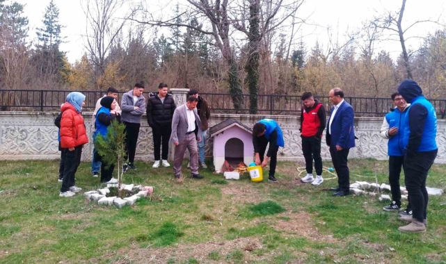 Hisarcık'ta sokak hayvanları için mama bırakıldı
