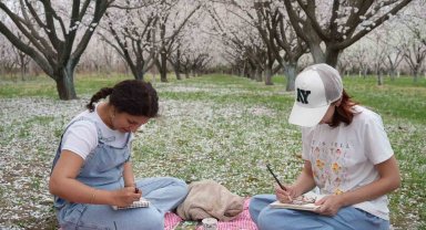 Iğdır'da çiçek açan kayısı ağaçlarında kartpostallık görüntüler