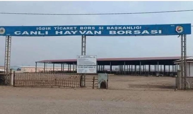 Iğdır'da hayvan pazarı açılıyor