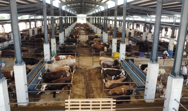 İnegöl hayvan pazarının kotra ihale tarihi belli oldu