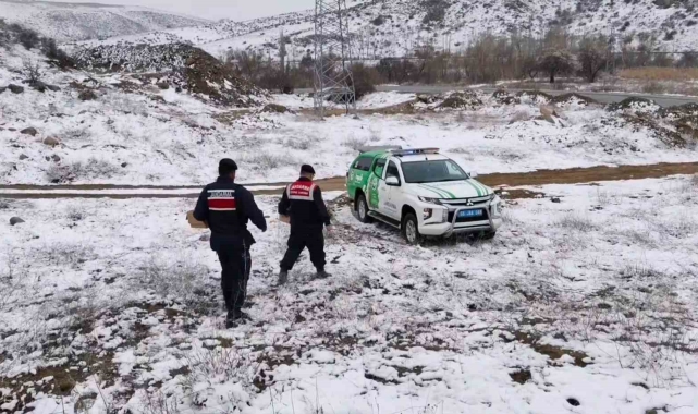 Jandarma ekipleri doğadaki canlıları unutmadı