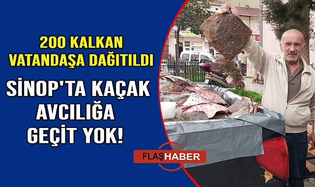 Kaçak avlanan kalkanlar sofralara ulaştı