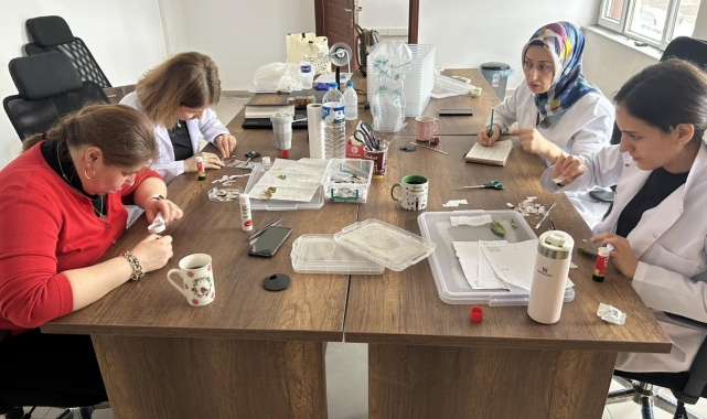 Kahverengi kokarca ile mücadelede samuray arısı üretimi sürüyor