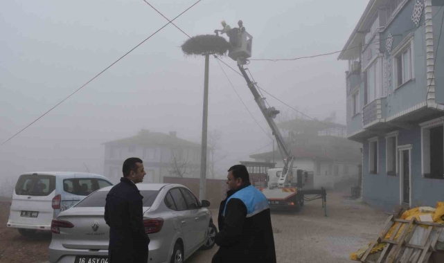 Karacabey'deki leylek yuvalarında geleneksel temizlik devam ediyor