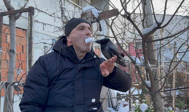 Karganın kar banyosu keyfi: &quot;Bir tek şampuanı eksik&quot;