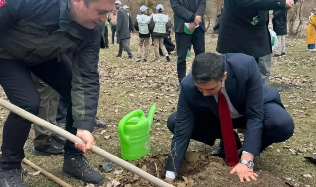 Kastamonu'da şehit ve gaziler için fidan dikildi