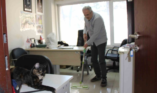 Kedi dostu profesör: Çalışma odasını kedileriyle paylaştı, her gün silip süpürüyor