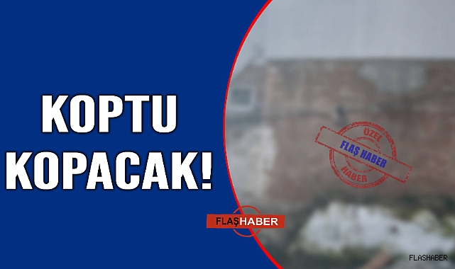 Kimse bakmayınca bu hale geldi