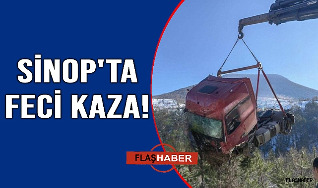 Kontrolden çıkan tır şarampole devrildi