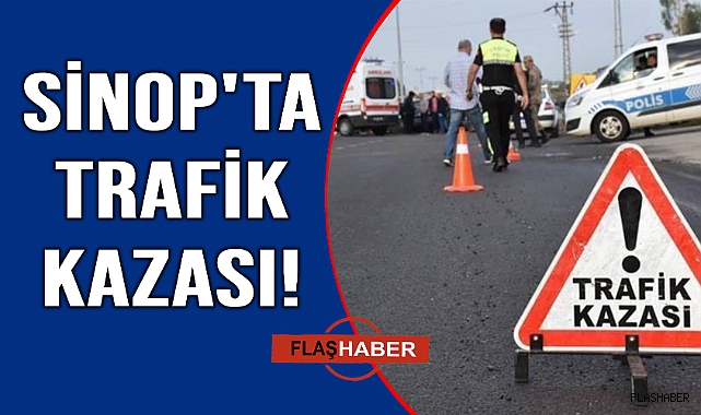 Köpeğe çarpmamak için direksiyonu kırınca takla attı