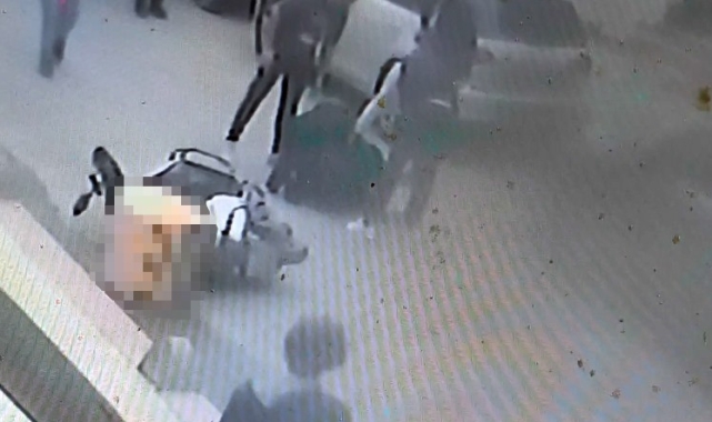 Köpeklerden kaçmaya çalışan motokurye kaza yaptı