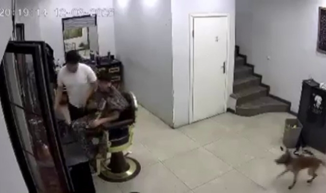 Kuaförde köpek korkusu berberi komedi sahnesine çevirdi