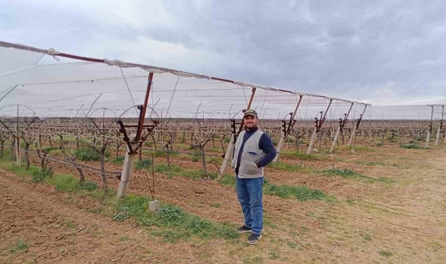 Manisalı çiftçiler don ve dolu riskine karşı tedbir almaya başladı