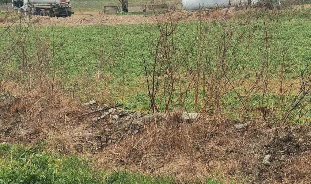 Menderes Nehri&#039;ni kirleten firma cezadan kaçamadı