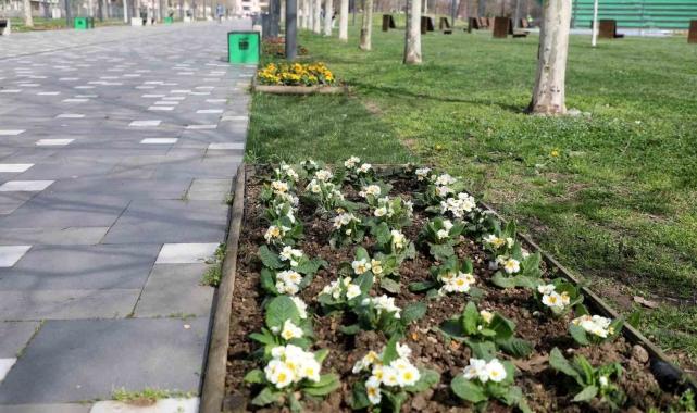 Millet Bahçesi yaz sezonuna hazırlanıyor