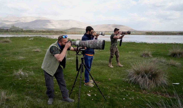 Niğde'nin kuş envanterine yeni bir kuş türü daha eklendi